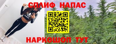 гашик Краснознаменск