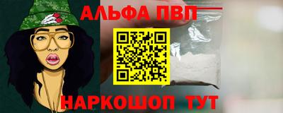 СК Краснодар