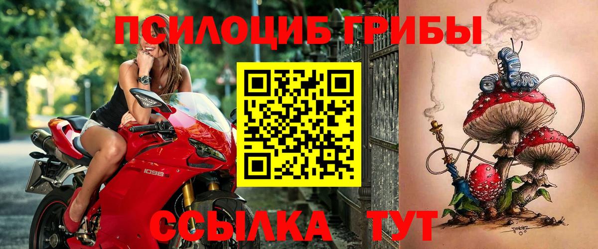 Галлюциногенные грибы мухоморы Вязьма